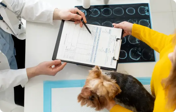 Health Record Screenshot