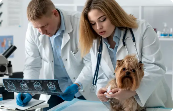 Health Record Screenshot